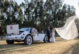 Paquete Boda
