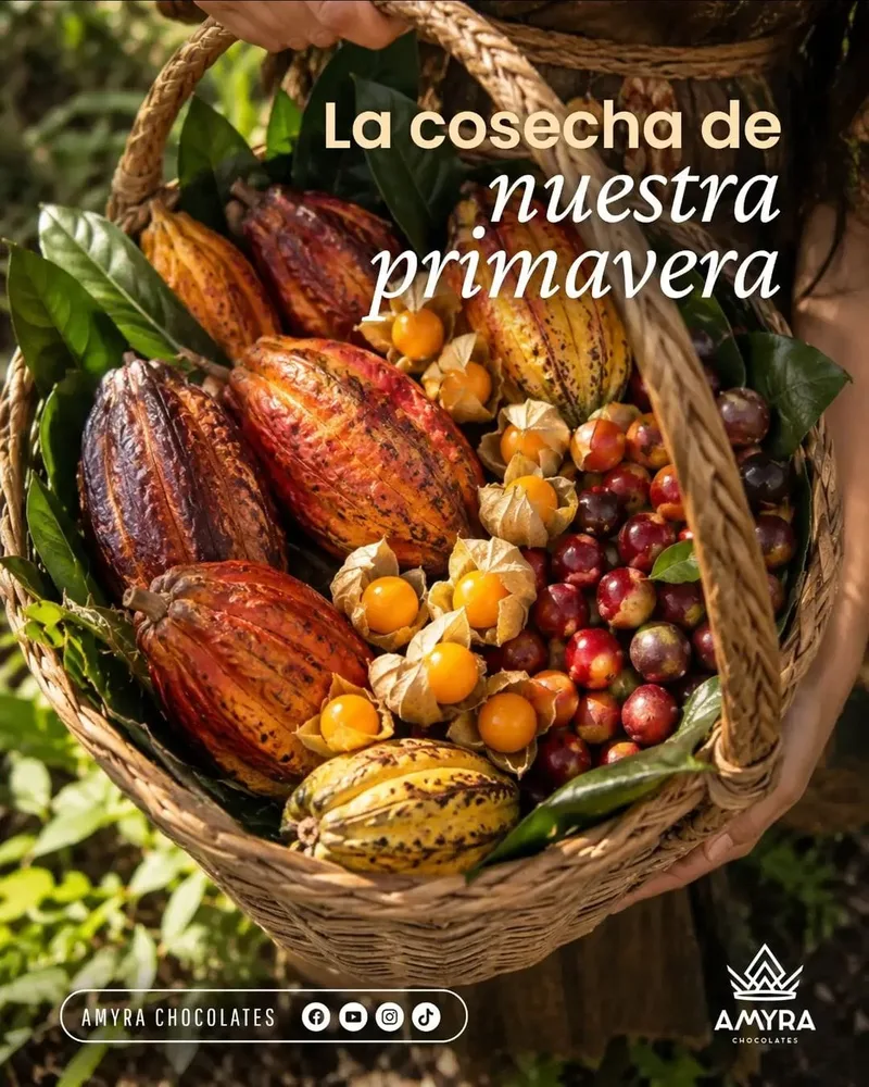 Foto de AMYRA CHOCOLATE