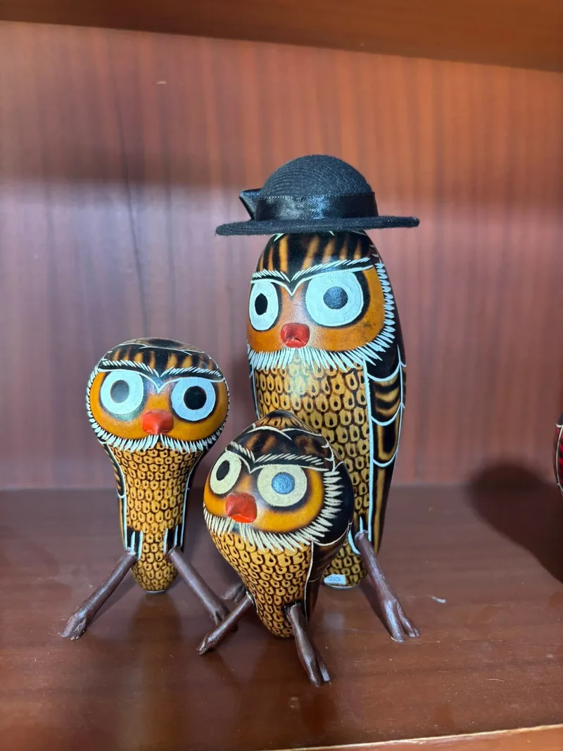 Buhos